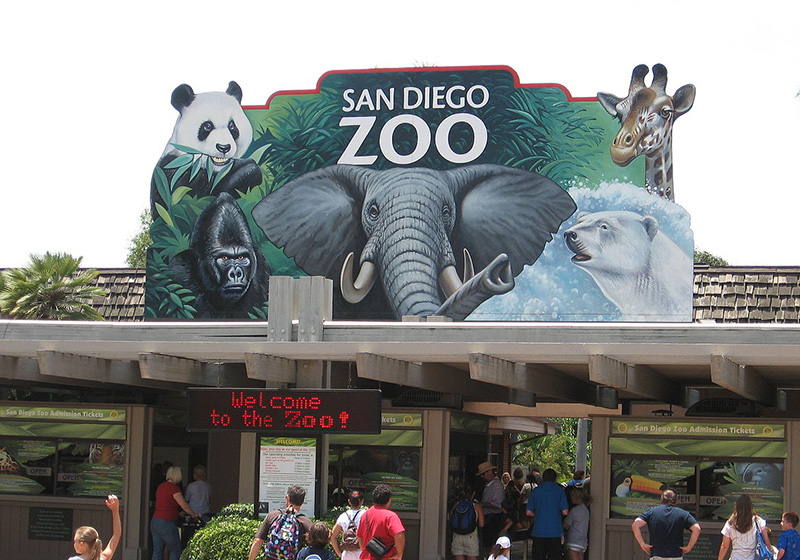 Top 5 things to do in San Diego, California this summer Let's ATV
