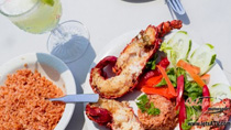 1 Day ATV & Lobster
